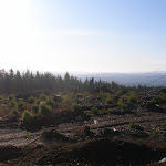 PC030157.JPG