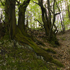P1000263.JPG
