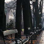 DSC_4869.JPG
