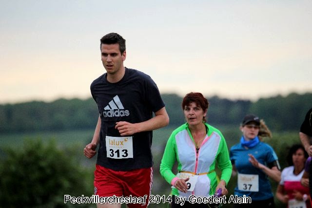 Peckvillercherslaf2014 064.jpg