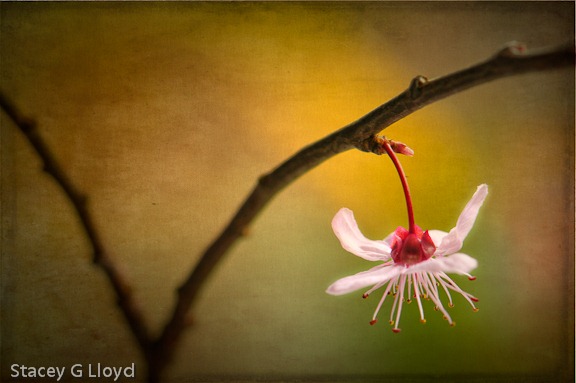 [Blog_20100304_24.jpg]