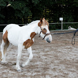 6Y1I2964_DxO_raw.jpg