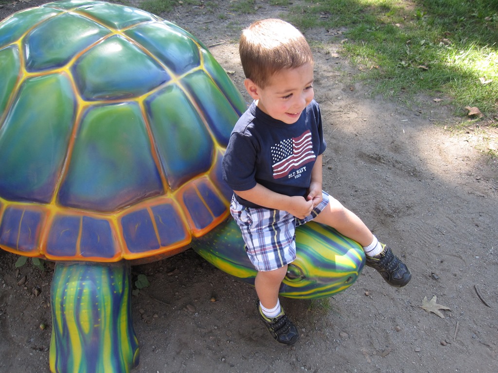 [Picture%2520197%255B3%255D.jpg]