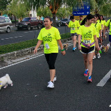 Pet Express Doggie Run 2012 Philippines. Jpg (93).JPG
