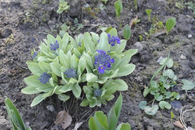claus20120327_121558
