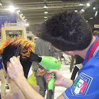 Immagine 198.jpg