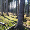PB110039.jpg