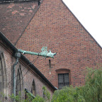 P5230383.JPG