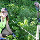 Kamaole 2 workday 9-5-11 003.JPG