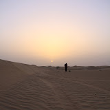 IMG_5309.JPG
