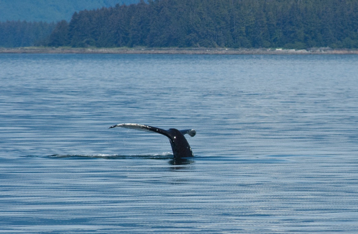 [2011-Cruise-361x3.jpg]