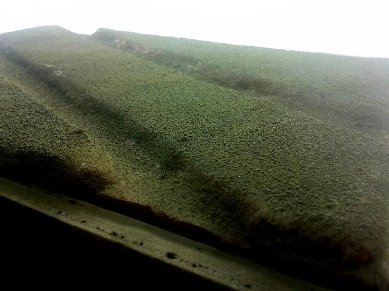20130811_145220.jpg