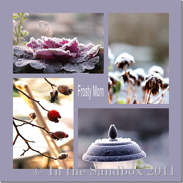Frosty Morn mosaic