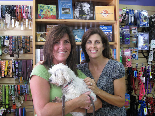 The shelter deemed his neglect too severe to remedy so they reached out to the community with a final plea to get him help-Alisa & Faye stepped in immediately as his lifeline & advocates. The shelter deemed his neglect too severe to remedy so they reached out to the community with a final plea to get him help-Alisa & Faye stepped in immediately as his lifeline & advocates.