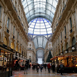 Milan in Milan, Italy 