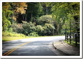 IMG_0743eweb