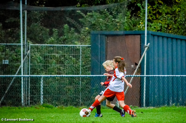 20131012 - WVV E2 - HEILIGERLEE E1 - 030.jpg