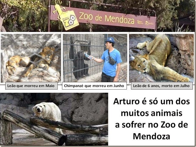 [zoo_mendoza_thumb%255B1%255D%255B2%255D.jpg]