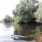 DSCN3100.JPG
