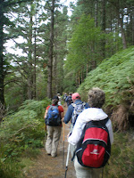 On the trail