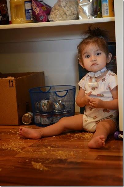 DSC_6188 DSC_6188
