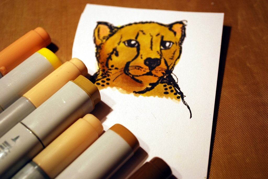 [Cheetah%25201%255B5%255D.jpg]