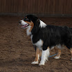 jan-feb 2010 114.JPG