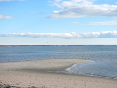 11.2011 Skaket beach Dennis`