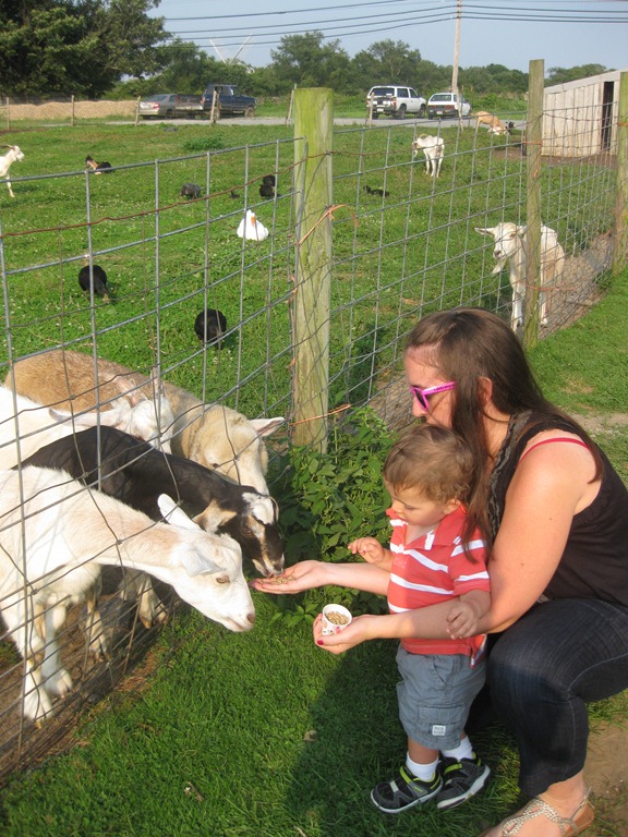 [2012.08.17%2520Petting%2520Zoo%2520%25285%2529%255B6%255D.jpg]