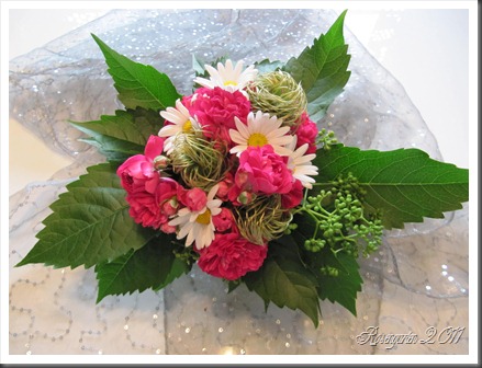 IMG_2168 IMG_2168
