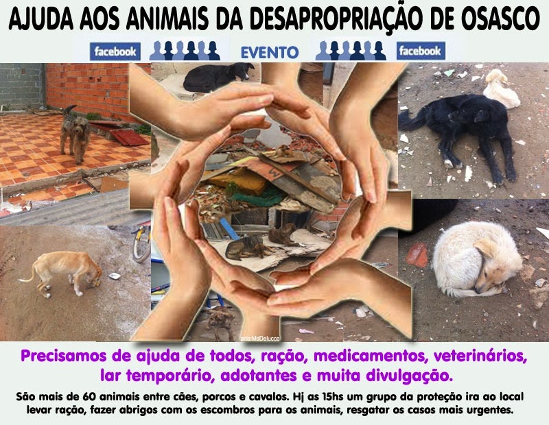 [ajuda-animais-osasco%255B3%255D.jpg]