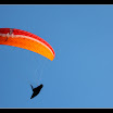 IMG_7003.JPG