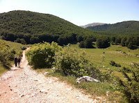 IMG_1453.JPG Photo