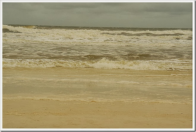 sea-public-domain-pictures-(883) sea-public-domain-pictures-(883)