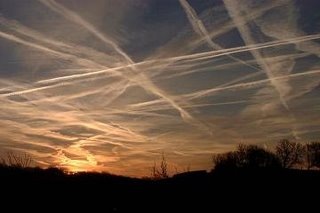 scie_2 scie_2