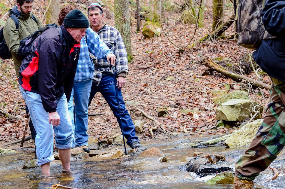 [sceni%2520spur%2520falls-3245.jpg]