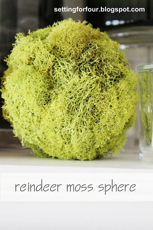 [reindeer-moss-sphere-on-mantle-0206.jpg]