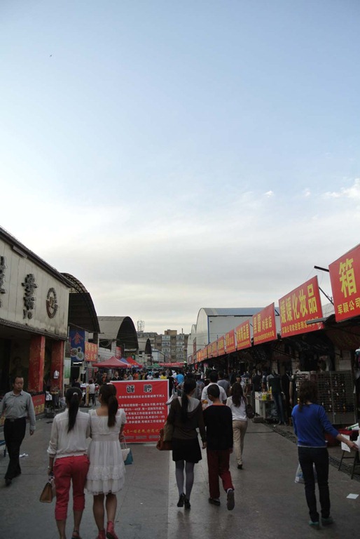 [DSC_33334.jpg]