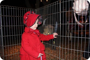 IMG_0478e