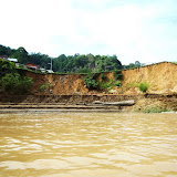 Photo1: A typical riverbank erosion site in Rajang river 
The playground of  riverside primary school is deeply-eroded and children are no longer able to play football in the field. Along the river there are several schools facing the same situation.