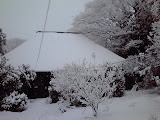 今日も雪です