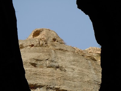 DSCN3984.jpg