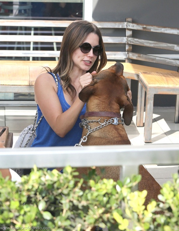 sophia-bush-linda-sexy-sensual-fofa-photo-desbaratinando (21) sophia-bush-linda-sexy-sensual-fofa-photo-desbaratinando (21)