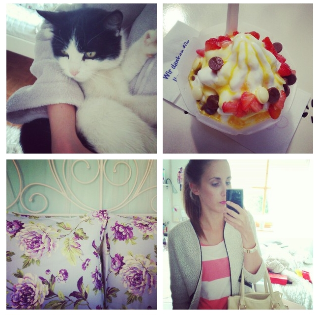 [instagrid%252013.6.teil2.png]