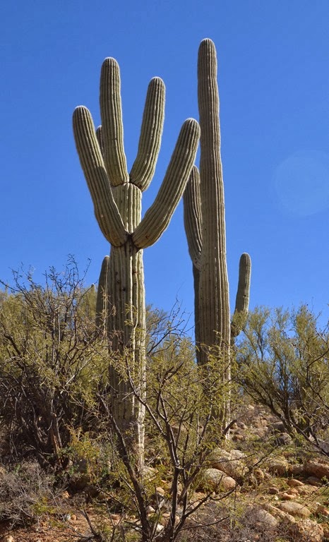 [Catalina%2520SP_012%255B4%255D.jpg]