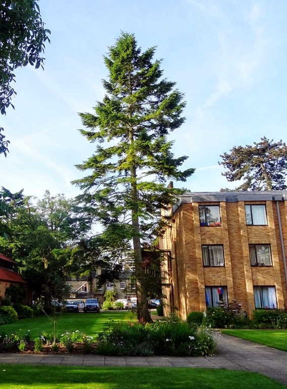 [DSC06447%2520%2528959x1300%2529%255B4%255D.jpg]