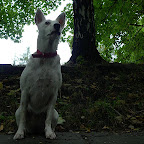 L1080042.jpg L1080042.jpg