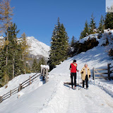 27.10.10 malga Niederhofer Alm