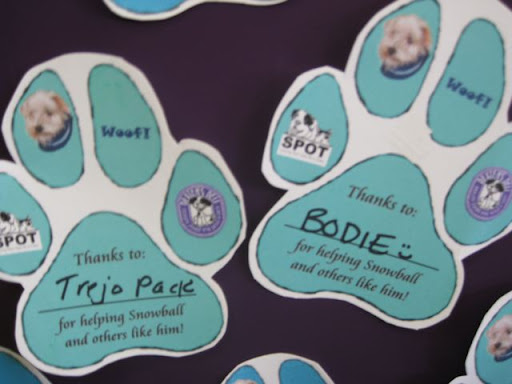 Many people donated in the name of their own rescued animals who, Like Snowball, had once needed help! Many people donated in the name of their own rescued animals who, Like Snowball, had once needed help!