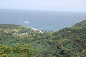 DSC_0936.JPG